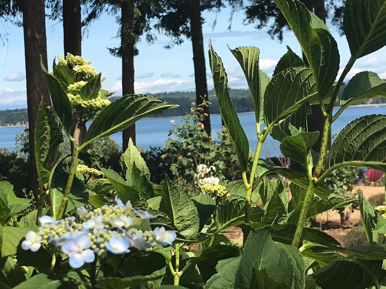 Union Bay Log Home 외부 사진
